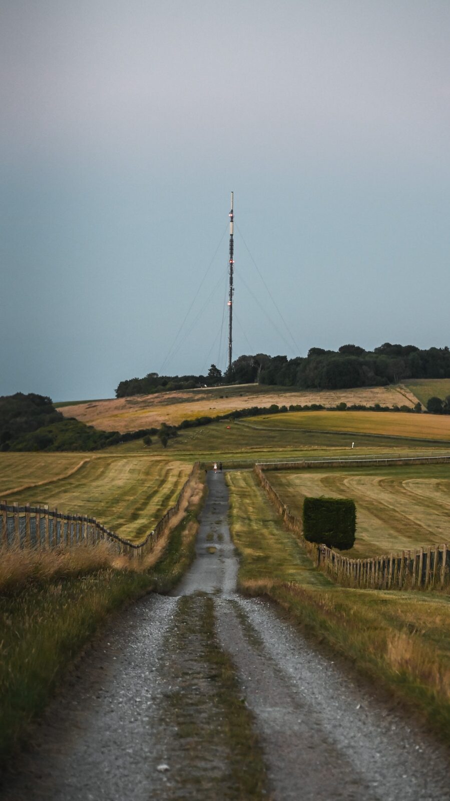 The lattice mast of the Hannington transmitting station rising above trees against a pale sky, Hampshire